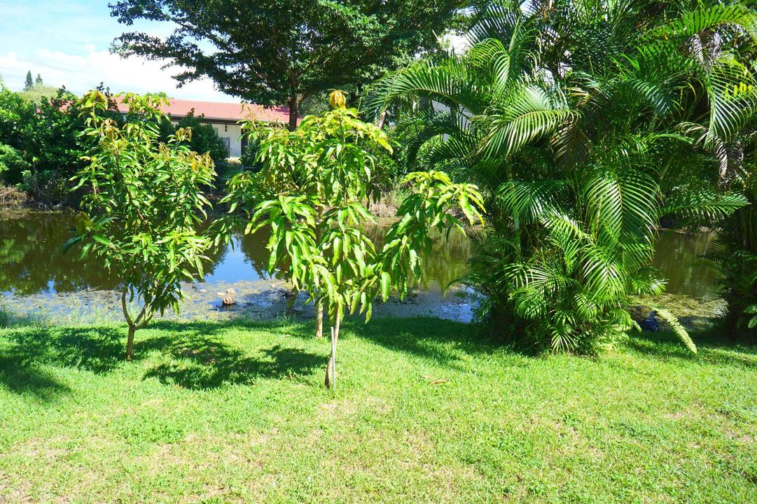 DSC04480