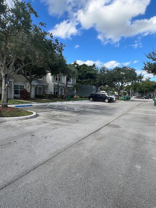 Asphalt paved parking area featuring designated spots with painted markings and mature landscaping