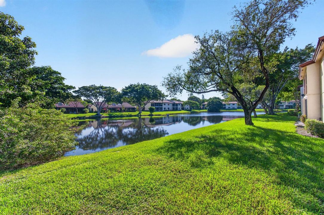 28_Lakefront_yard
