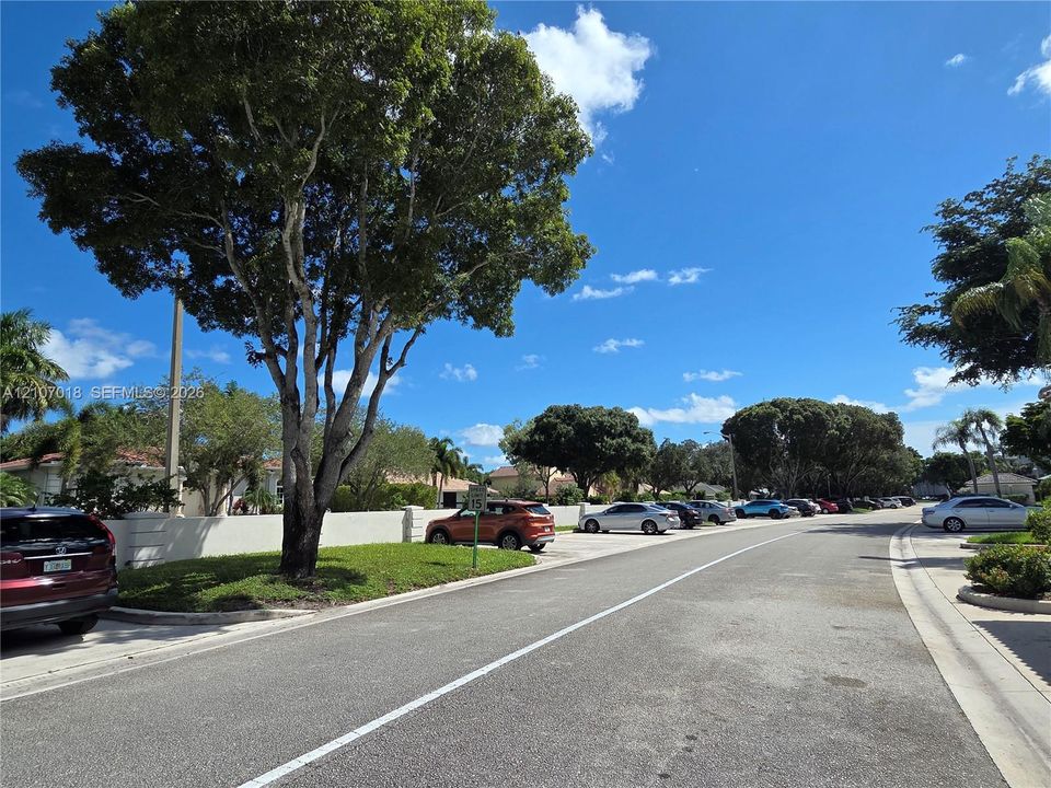 Residential streetscape featuring a continuous concrete privacy wall, mature shade trees, and asphalt paving