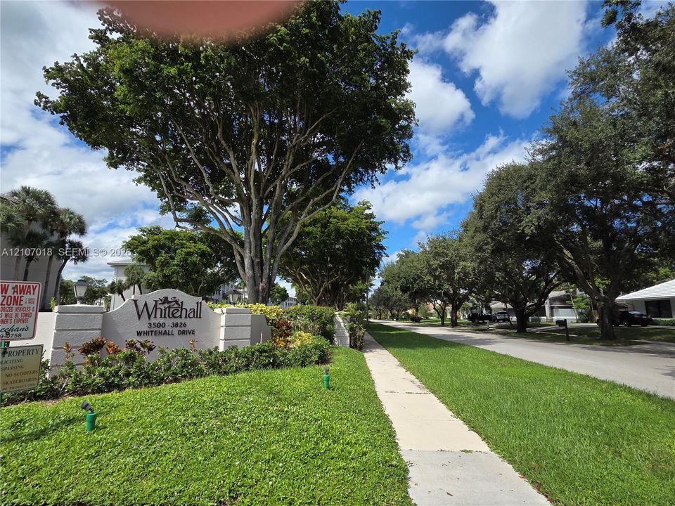 Stucco monument signage featuring professional lettering, complemented by mature canopy trees, manicured lawn, and concrete sidewalk