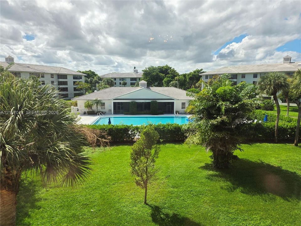 Outdoor swimming pool surrounded by landscaped lawn, mature palms, and structured shrubbery