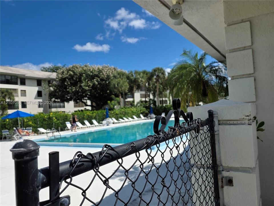 Swimming pool with concrete decking, secured by a metal chain-link perimeter fence and surrounded by mature palm trees and established landscaping