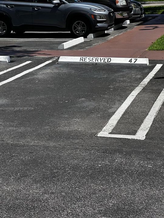 Assigned parking space featuring painted concrete wheel stops and clearly marked pavement striping