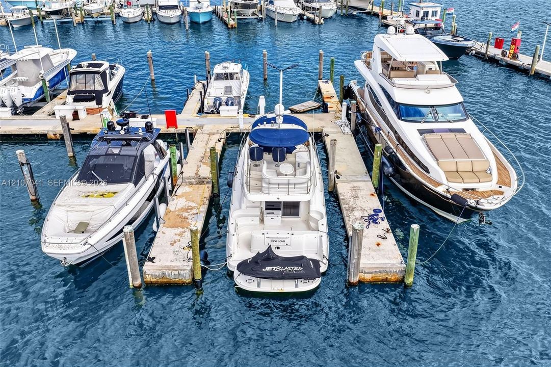 Private concrete boat slips featuring dockside power pedestals and integrated mooring pilings