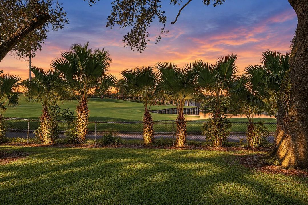 Palm-Lit Sunset Over the Pond