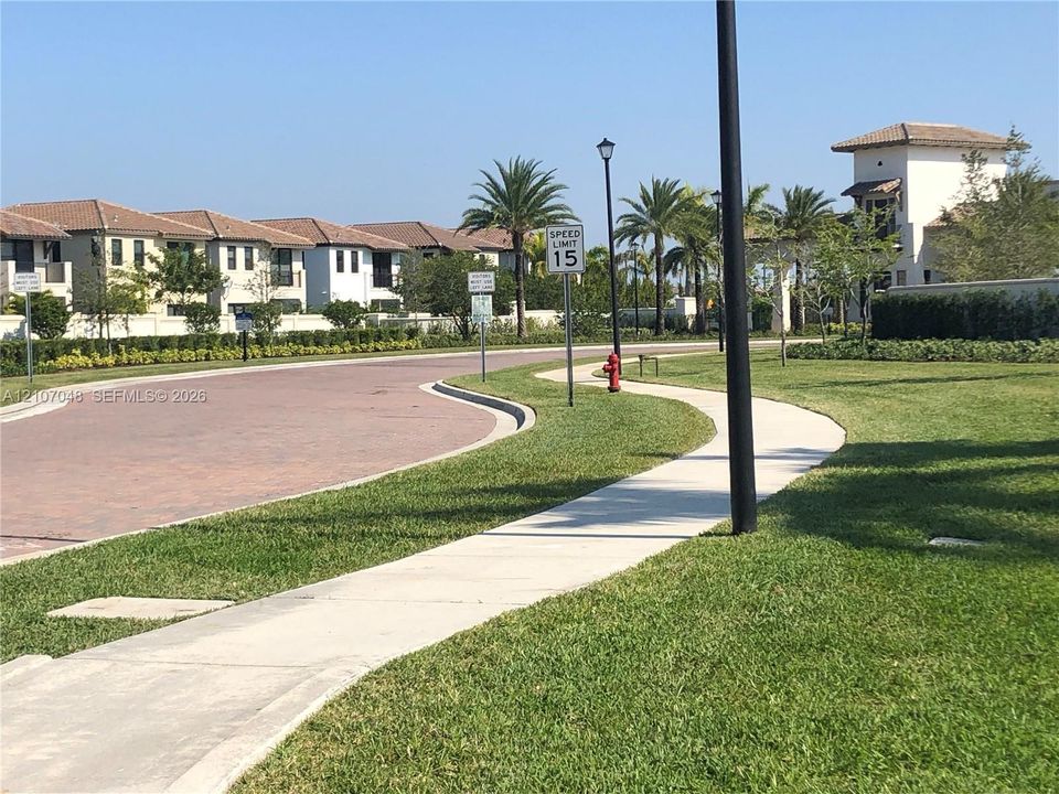 Paver-surfaced roadway featuring concrete sidewalks, manicured landscaping, palm trees, and decorative light posts