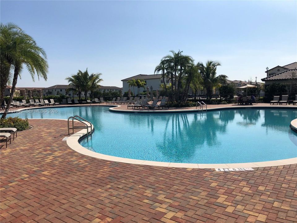 Resort-style swimming pool featuring brick paver decking, integrated metal handrails, and mature palm trees