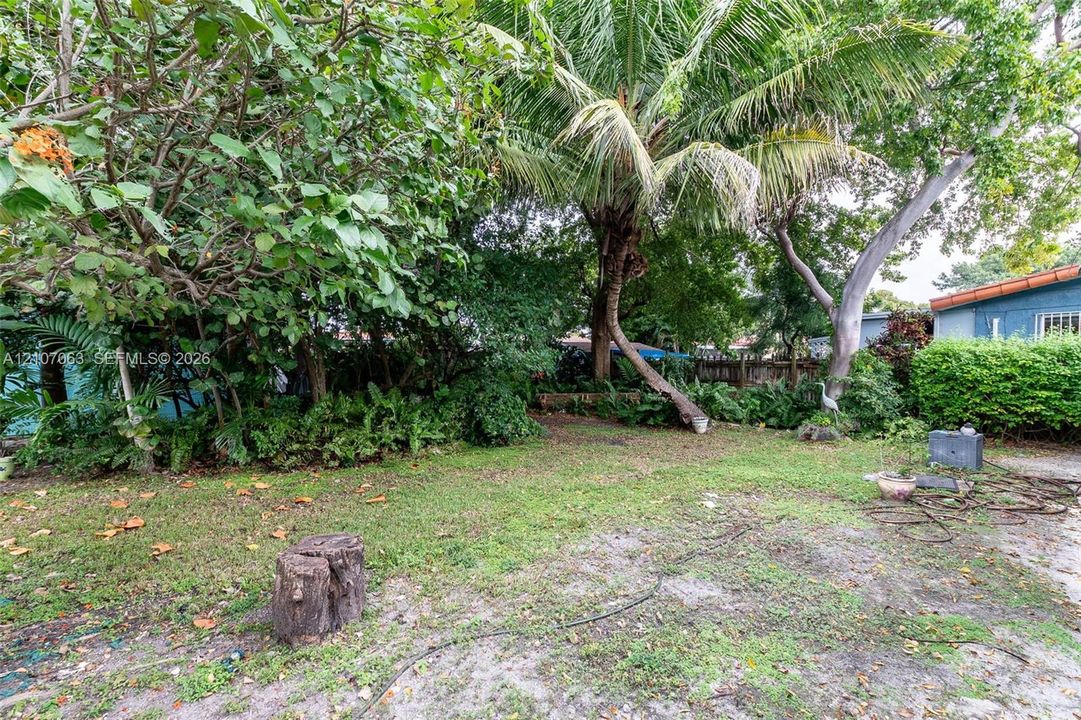 Outdoor space featuring mature trees, established palms, lush shrubbery, and foliage-lined perimeter