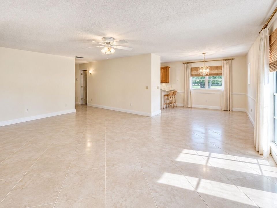 Living / Dining