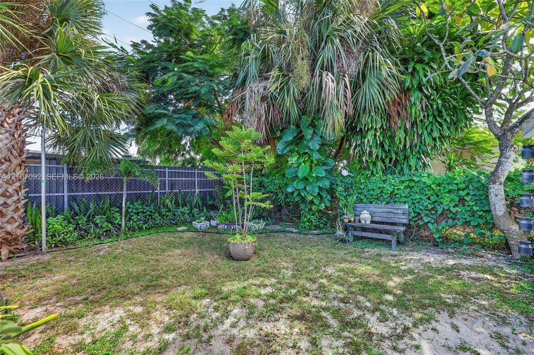 Backyard featuring mature palm trees, dense perimeter greenery, chain-link fencing, and established ground cover