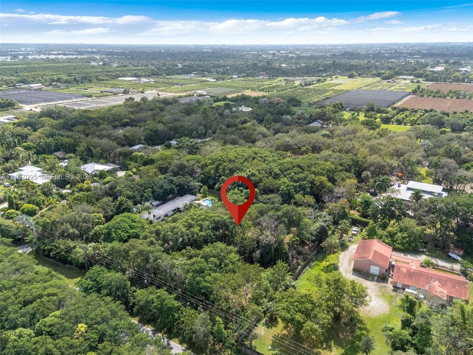 Aerial perspective of a large parcel featuring extensive mature tree canopy and dense vegetation