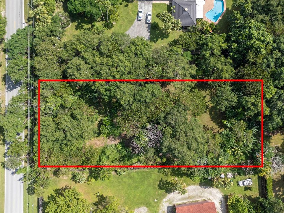 Rectangular lot featuring dense mature tree coverage and established natural vegetation