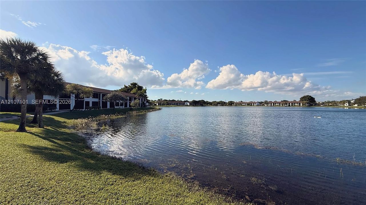 Waterfront grounds featuring a grass lawn, mature palm trees, and structural building exteriors