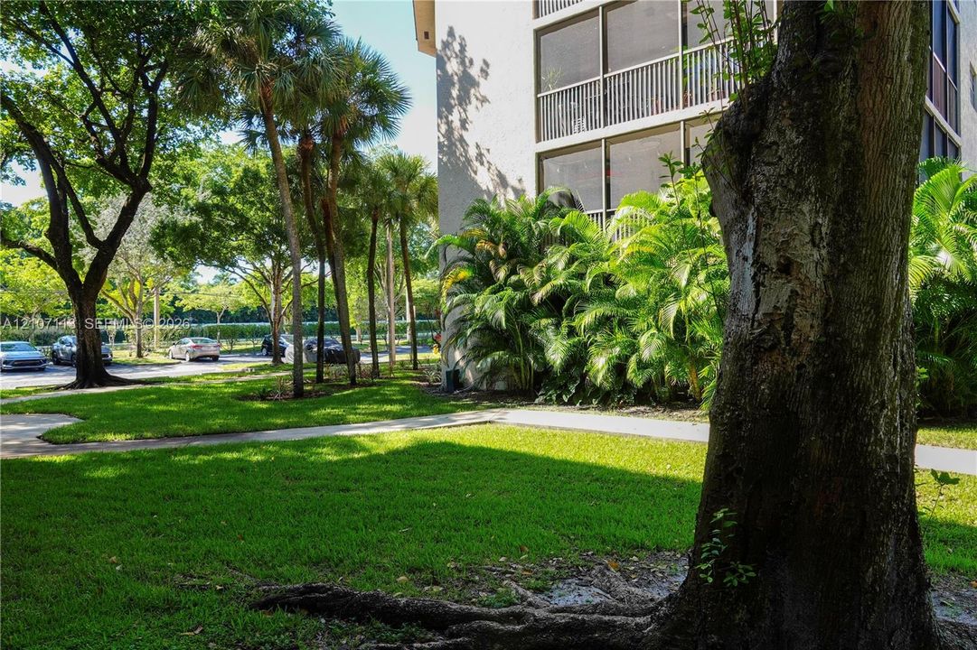 Multi-story building exterior featuring screened balconies, concrete walkways, expansive green space, and mature trees