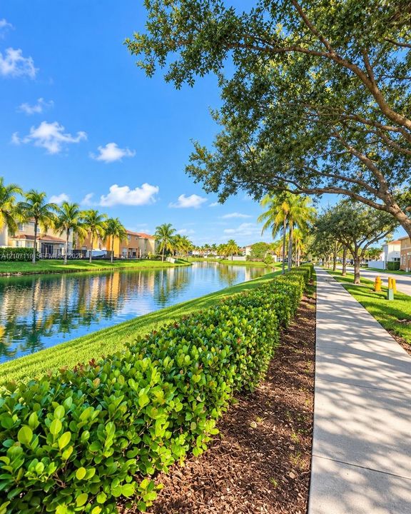 Waterfront setting featuring a concrete walkway, manicured hedging, mature shade trees, and palm trees