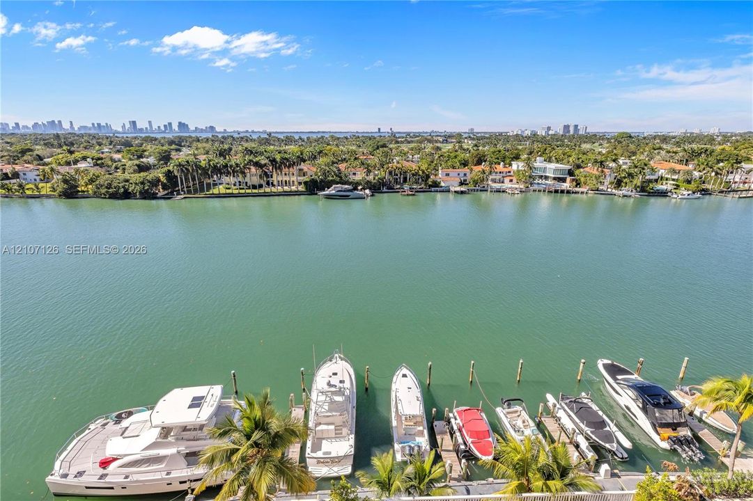 Waterfront property featuring a deep-water boat slip, wooden dock pilings, and mature palm trees