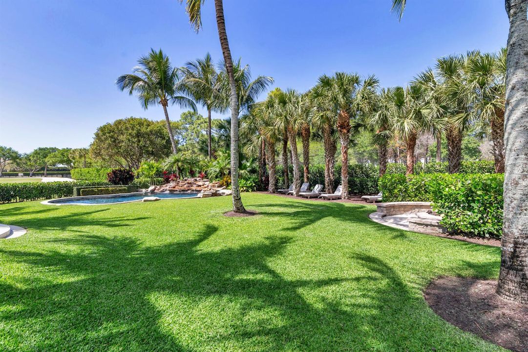 Yard View