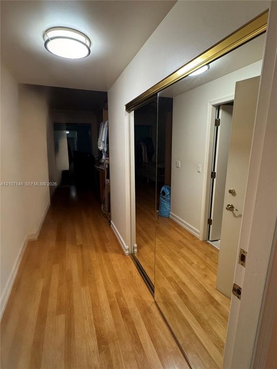 Wood-finish flooring throughout, full-height mirrored sliding closet doors with metallic trim, and a low-profile flush-mount ceiling light fixture