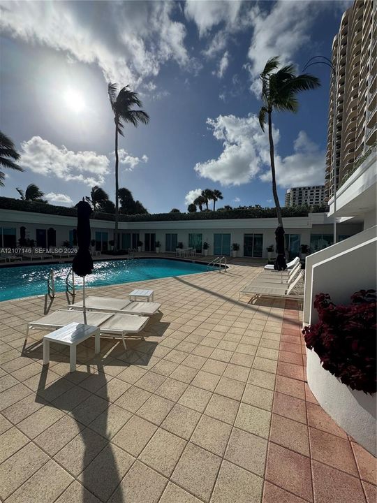 Outdoor swimming pool area featuring a paved sun deck, perimeter privacy hedging, and mature palm trees