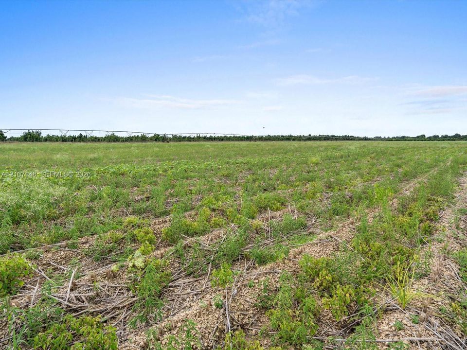 Expansive acreage featuring level topography, agricultural vegetation, and an integrated center-pivot irrigation system