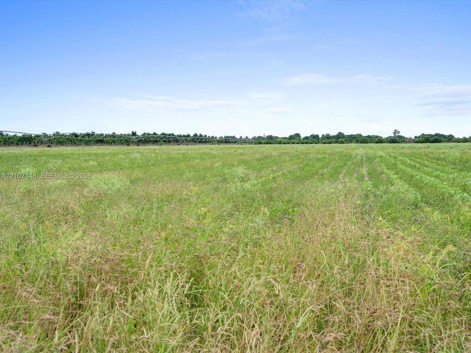 Expansive parcel of open land featuring level terrain, native grasses, and a treeline boundary