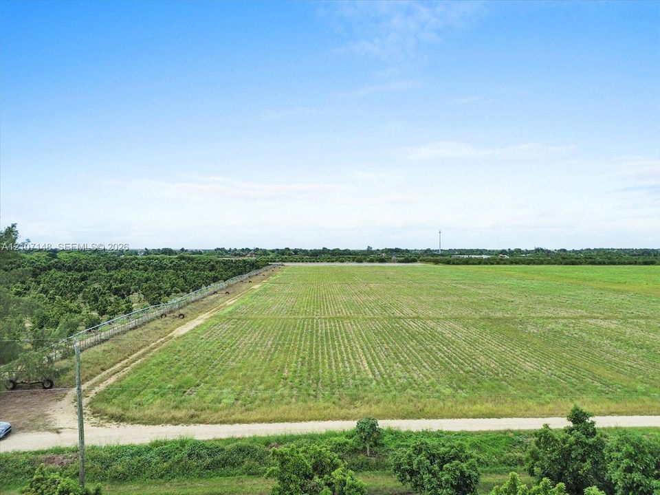 Expansive parcel of land featuring open grassy acreage, rows of mature trees, and an unpaved perimeter access path