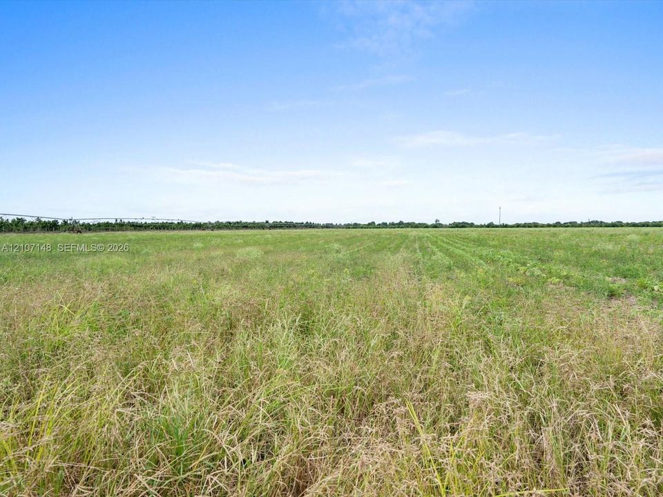 Expansive level acreage featuring open terrain and distant tree line