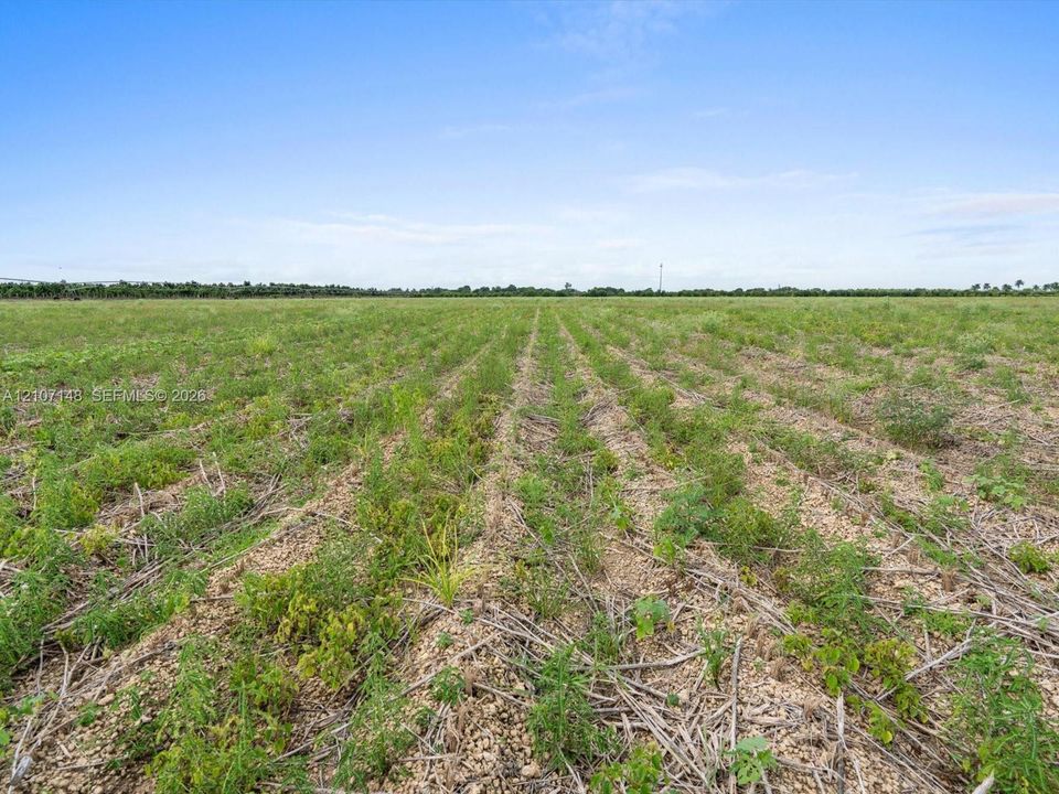 Expansive level acreage featuring open topography and clear horizon lines