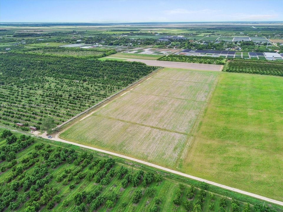 Expansive rural acreage featuring cleared land, established orchard trees, and gravel road access