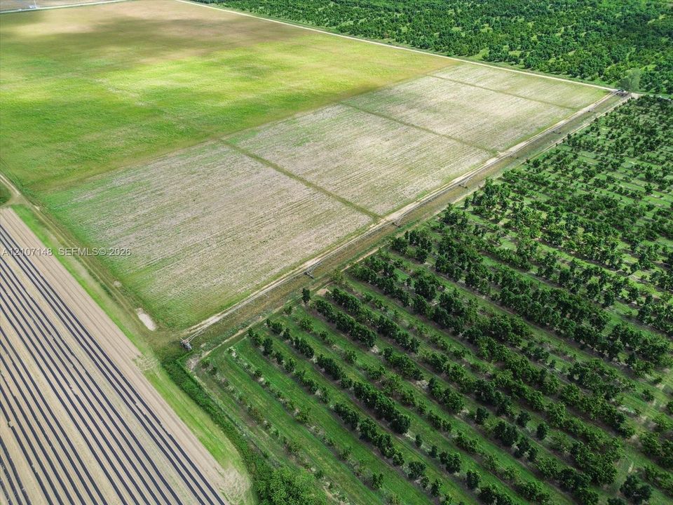 Expansive acreage featuring cultivated fields, maintained orchard rows, and established vegetation