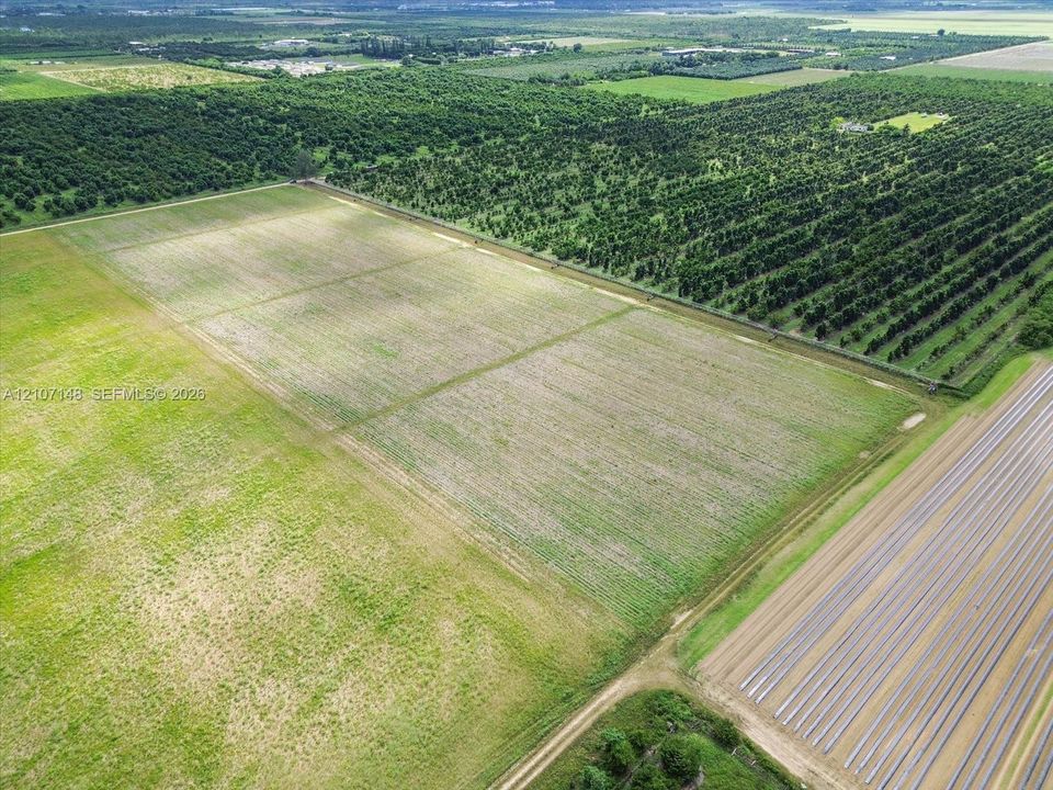 Expansive acreage featuring cleared land, defined boundary lines, and established agricultural surroundings