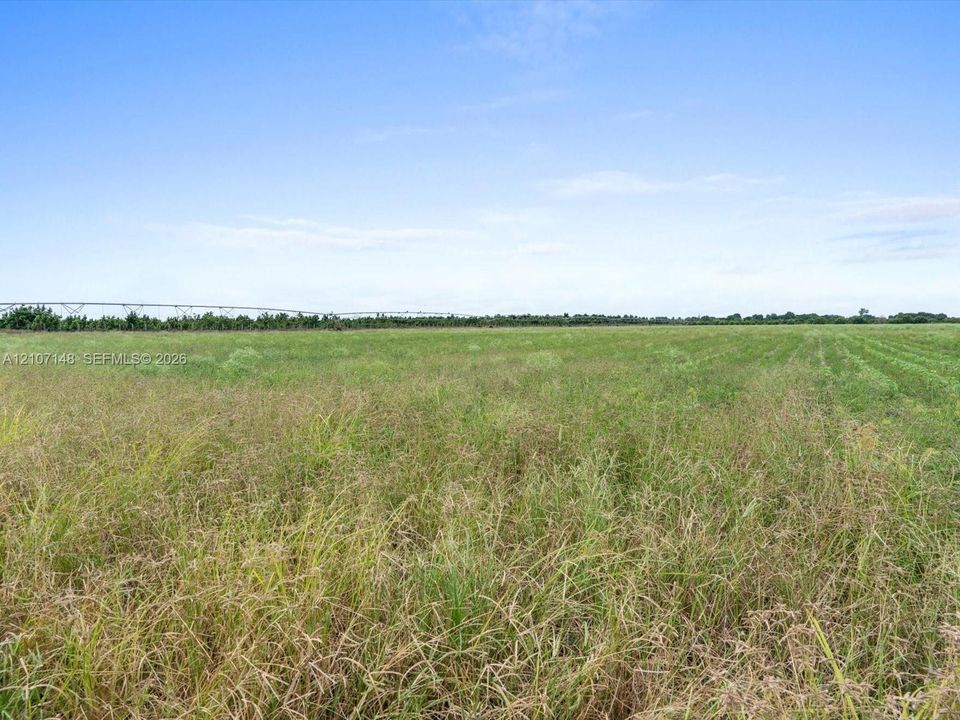 Expansive open acreage featuring level topography and a horizon-spanning landscape