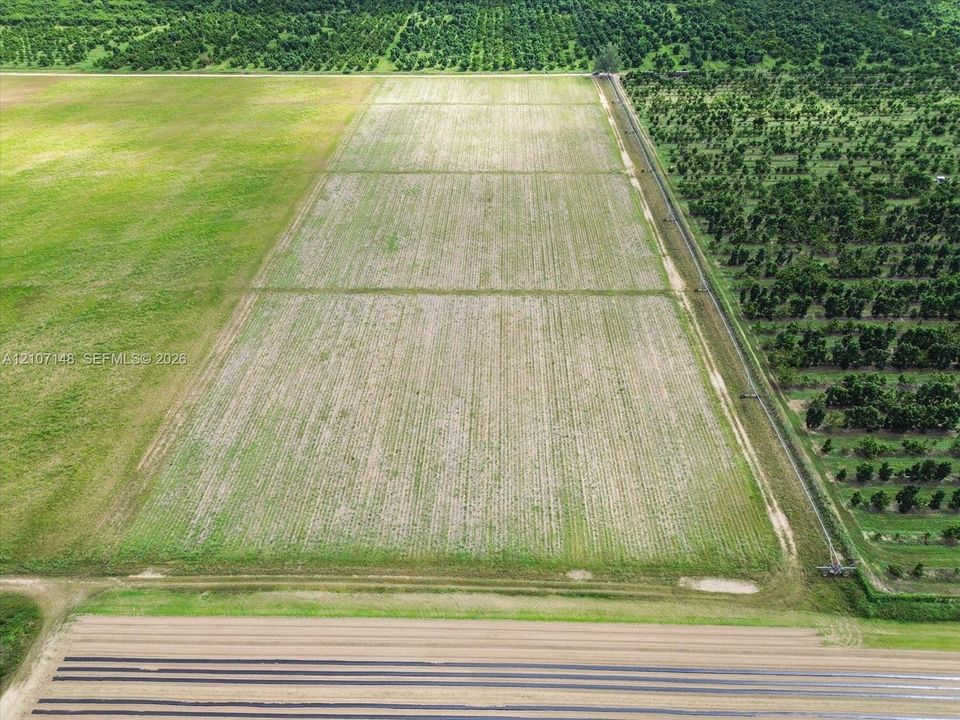 Expansive agricultural acreage featuring cleared, level ground, rows of established crops, and perimeter irrigation lines