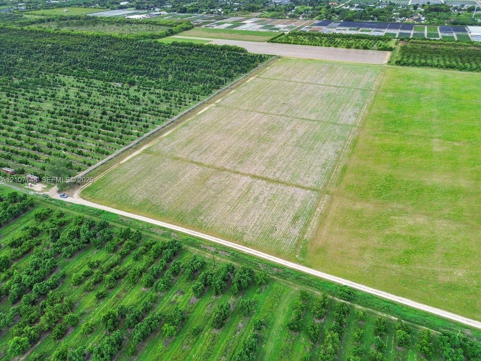 Expansive acreage featuring cleared land, established orchard trees, and gravel road access