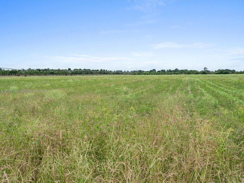 Expansive open acreage featuring cleared pasture land and mature tree line perimeter