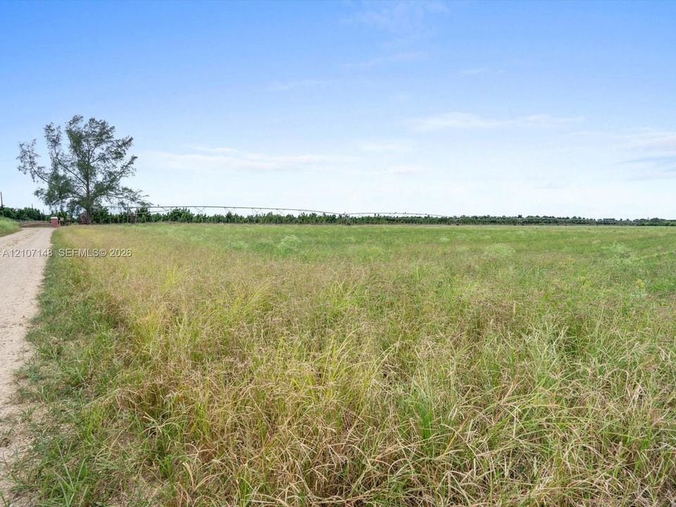 Expansive, open acreage featuring a natural grass landscape, an unpaved road border, and mature peripheral trees