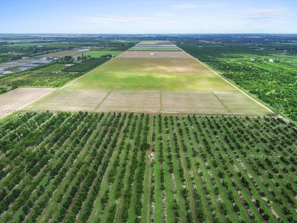 Expansive acreage featuring established orchard rows, open pasture land, and leveled fields