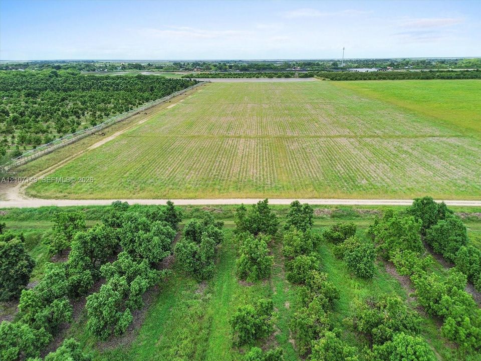 Expansive acreage featuring mature orchard trees, cultivated crop land, and maintained dirt access pathways