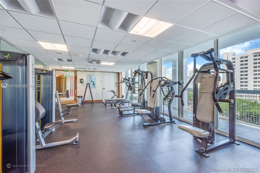 Fitness facility featuring drop-ceiling lighting, impact-resistant flooring, and expansive floor-to-ceiling windows