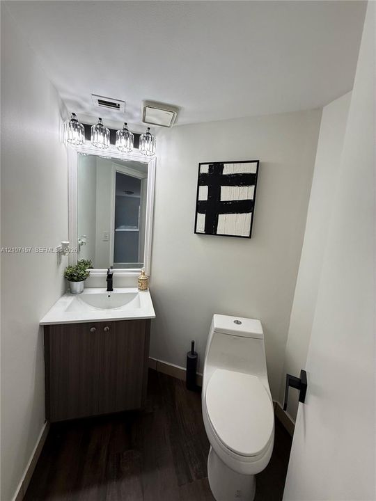 Downstairs Powder Room
