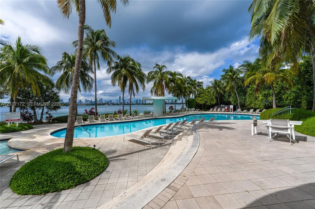 Swimming pool featuring stone paver decking, integrated landscaping with mature palm trees, and perimeter fencing
