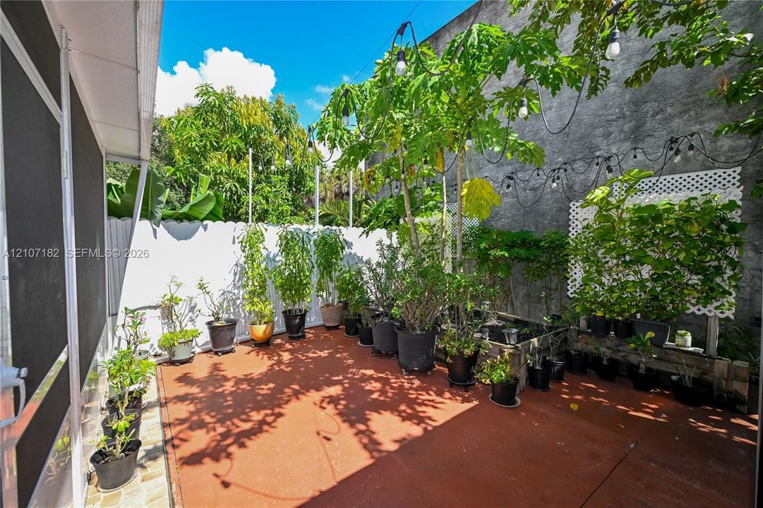 Enclosed outdoor patio featuring stained concrete flooring, white privacy fencing, wooden planter boxes, and overhead string lighting