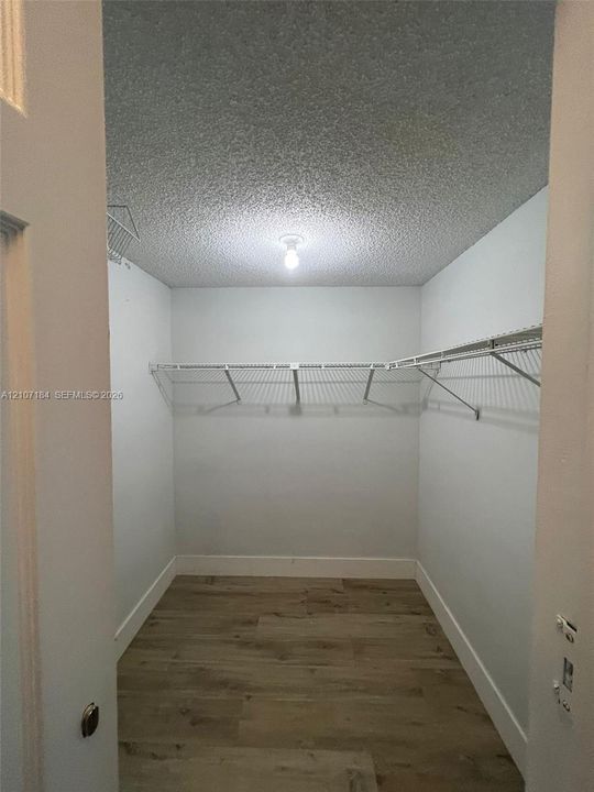 Walk-in closet featuring wood-finish flooring and installed wire shelving