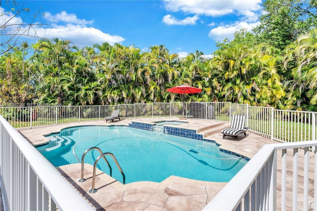 Swimming pool with raised spa, stone-textured pool deck, and metal perimeter fencing surrounded by dense mature vegetation