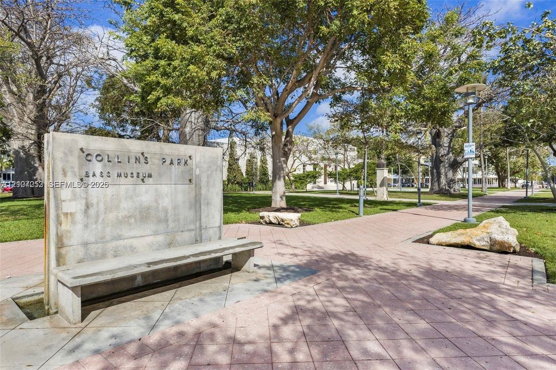 Collins Park