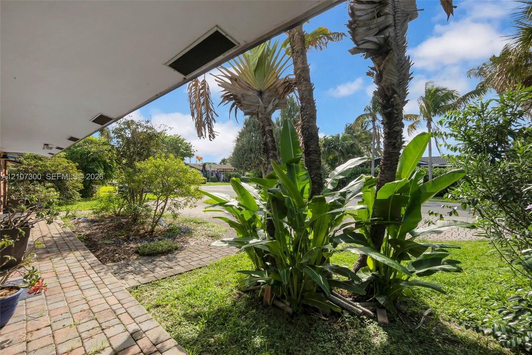 Covered patio with paver walkway, mature palm trees, and native tropical landscaping