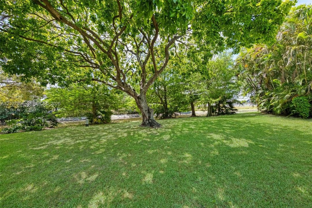 Expansive front yard featuring a manicured lawn, mature shade trees, and perimeter foliage