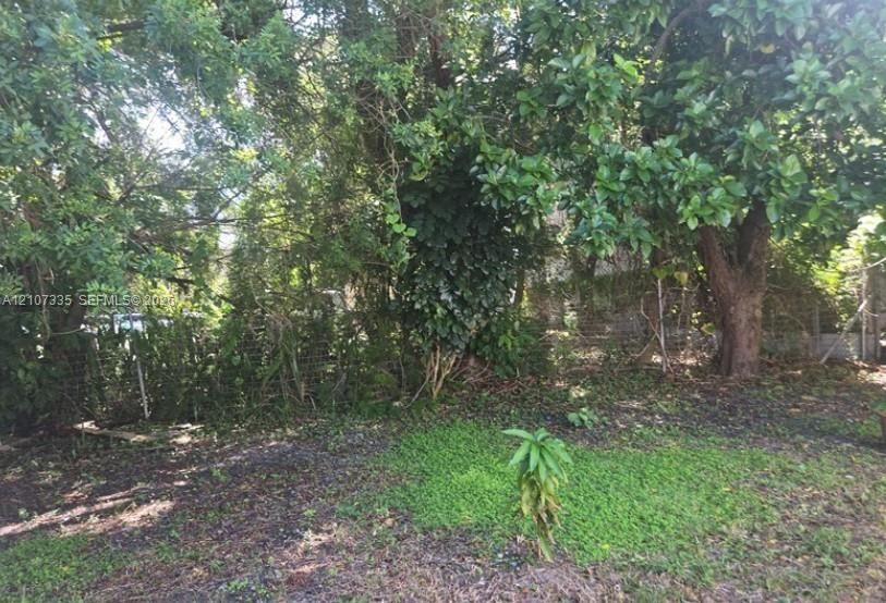 Outdoor grounds featuring mature trees, established foliage, and chain-link perimeter fencing