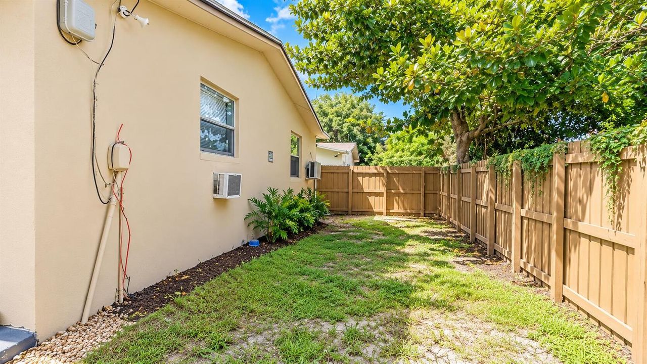 Backyard 2